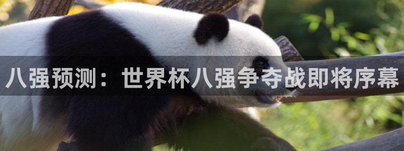 2026年世界杯赛程表时间:八强预测:世界杯八强争夺战即将序幕