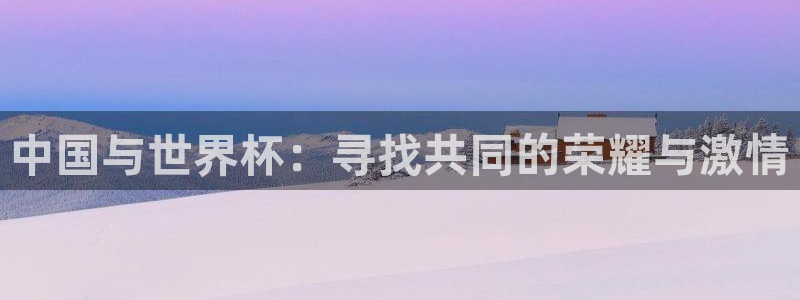 国际足联世界杯:中国与世界杯:寻找共同的荣耀与激情