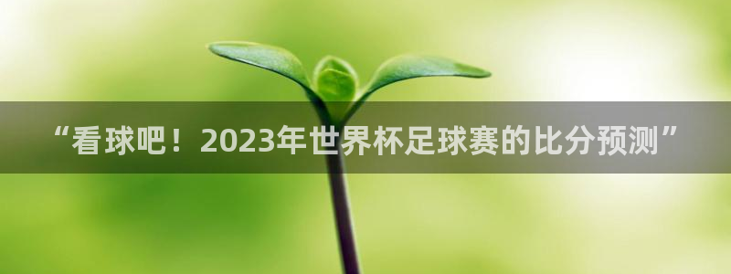 世界杯第一场比赛:“看球吧!2023年世界杯足球赛的比分预测”