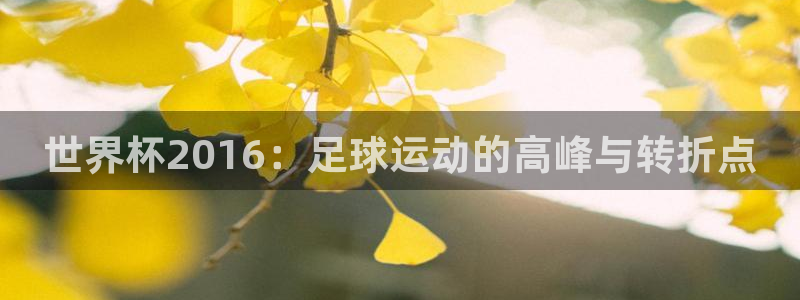2006年世界杯:世界杯2016:足球运动的高峰与转折点