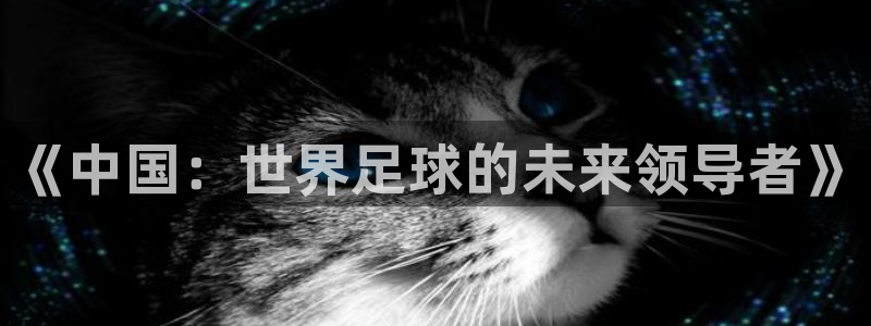 世界杯直播:《中国:世界足球的未来领导者》